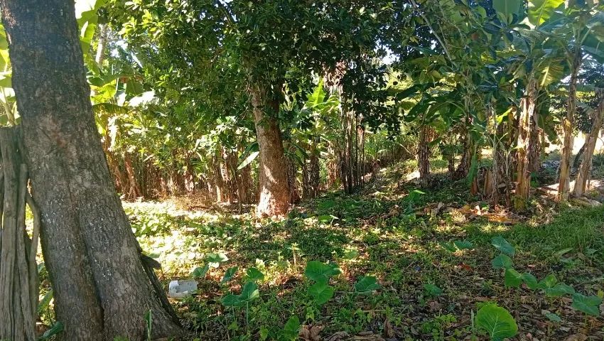 Vende um sítio de 6 tarefas com duas casa  - Foto 2
