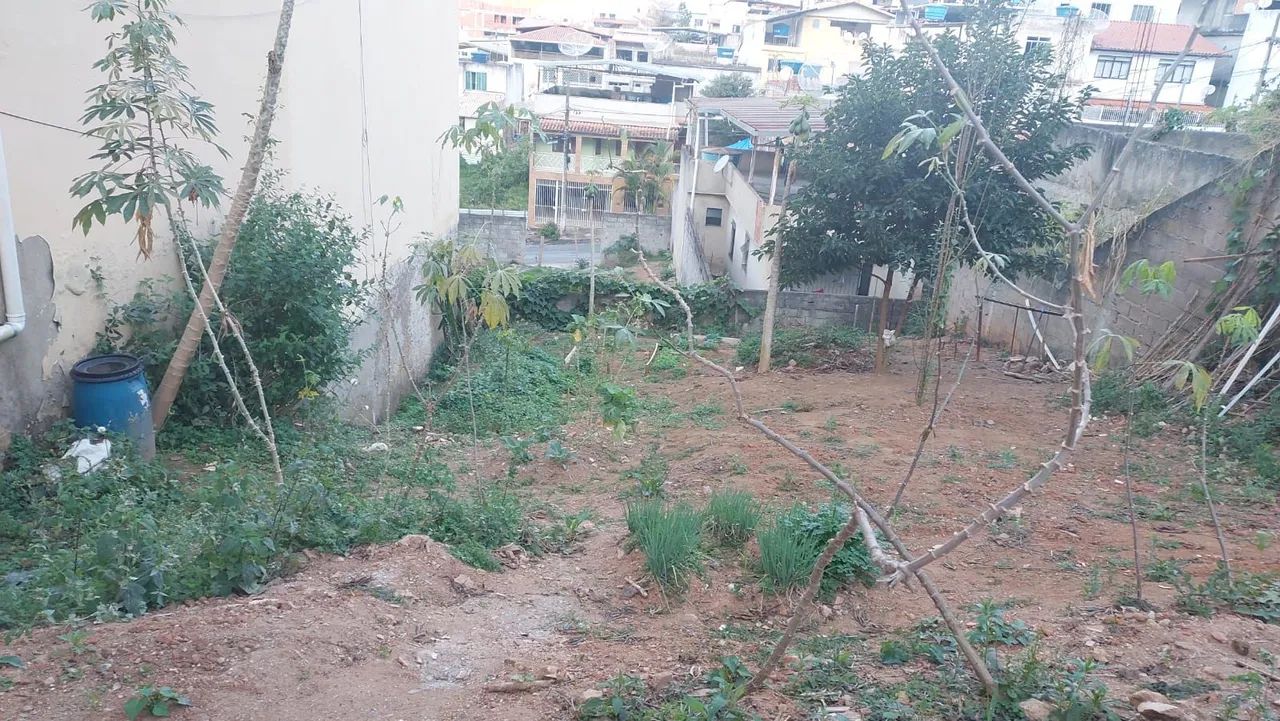 Foto - Juiz de Fora - Borboleta