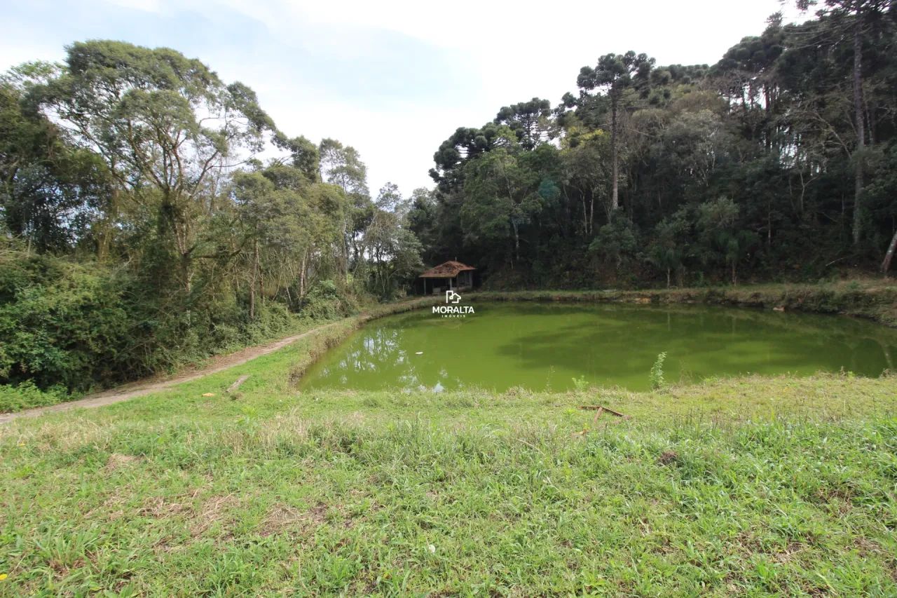 Chácara com 21.000m² na Murici - Foto 4