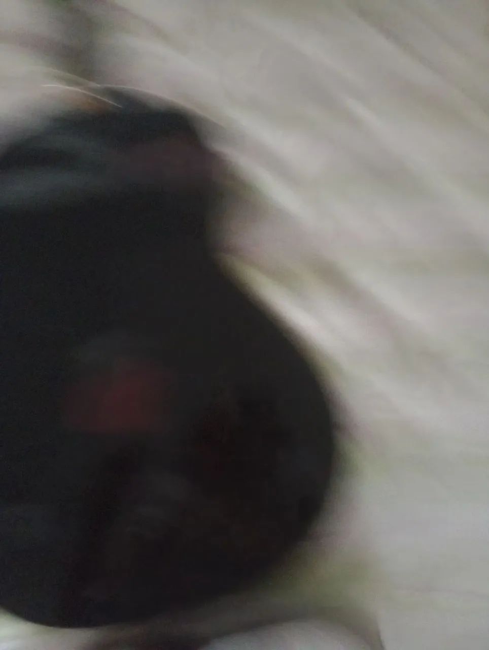Violão  - Foto 2