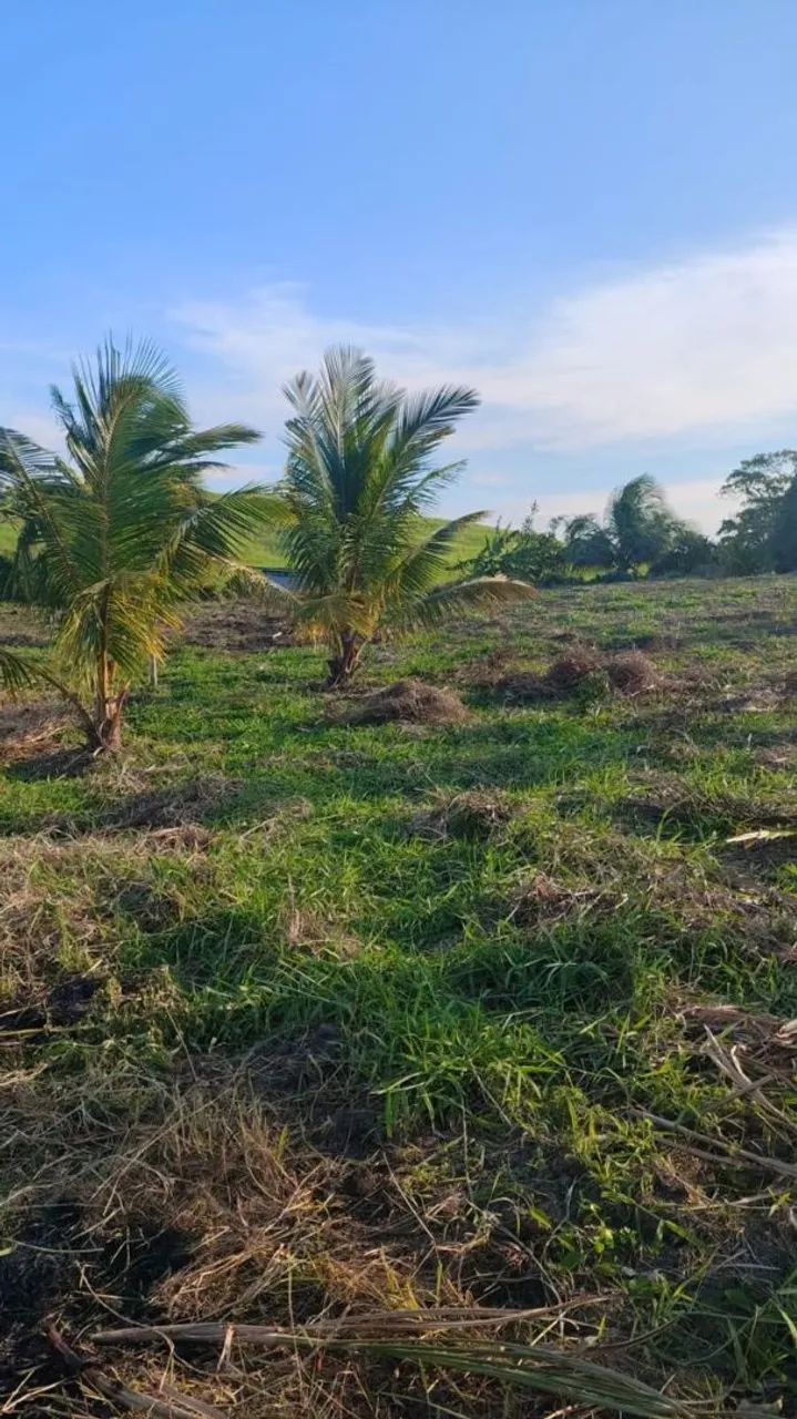 Vende-se sitio com casa