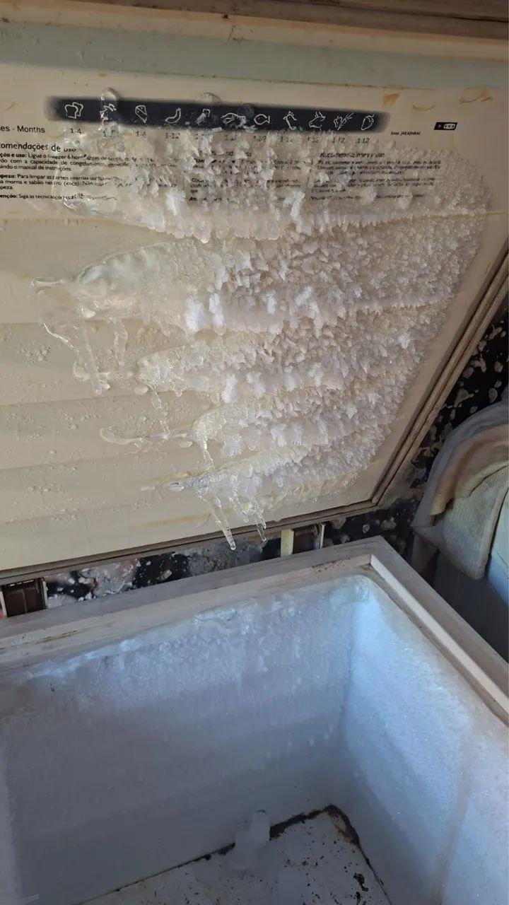 Freezer no precinho 