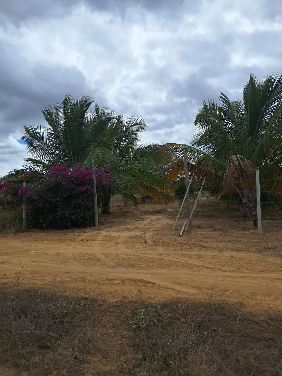 Sitio a venda  - Foto 2