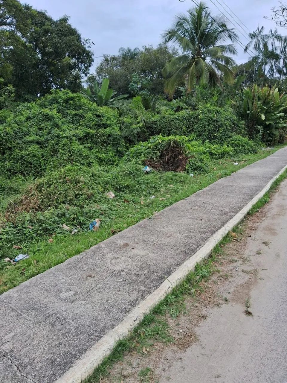 Terreno  - Foto 3