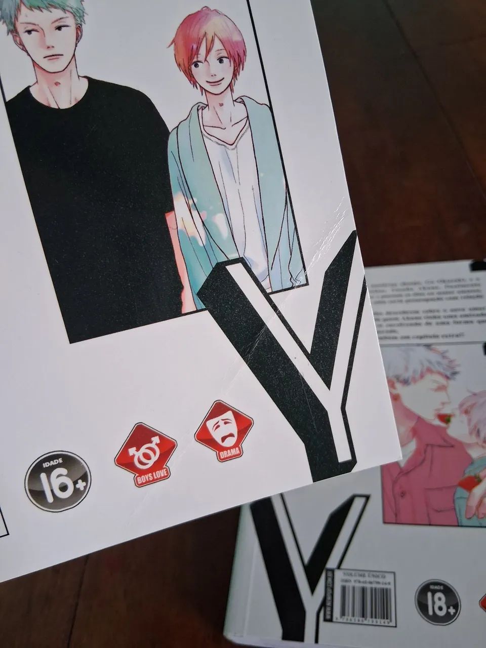 Mangas bl - JOY volume 1 e 2 (completo) - Foto 4