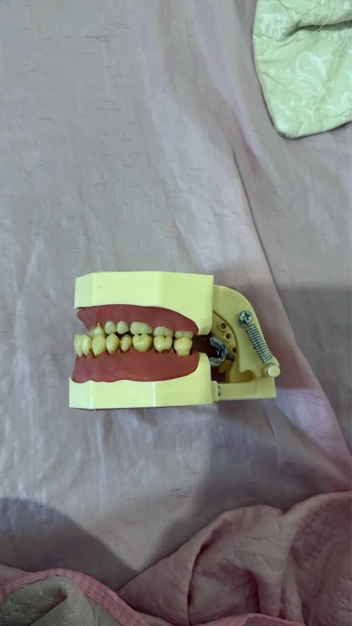 Manequim Odontológico  - Foto 2