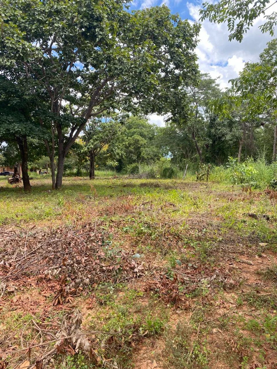 Terreno de 2,5 hectares com água e luz ?  - Foto 5