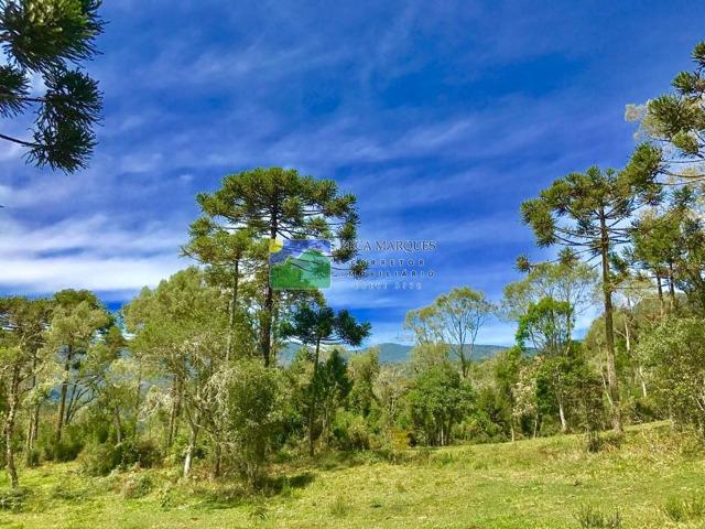 Terreno 2 hectares em Urubici - Foto 3