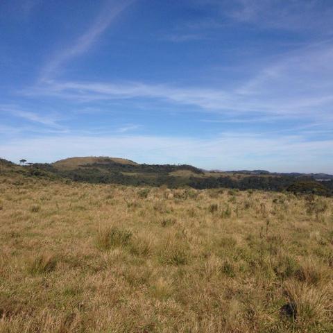 Fazenda em Urubici - SC - Foto 3