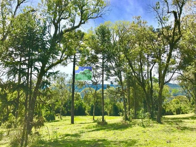 Terreno 2 hectares em Urubici - Foto 5