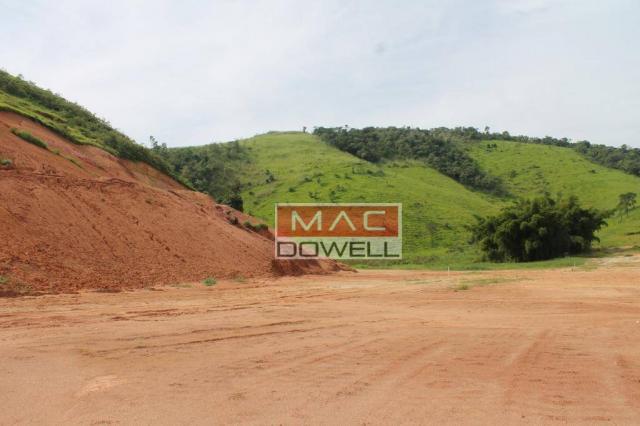 Terreno plano de 40.000 mts² em Papucaia - Foto 2