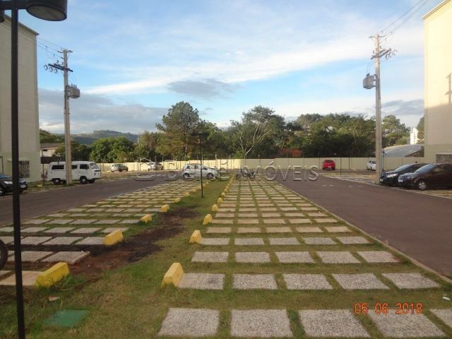 Apartamento para alugar com 2 dormitórios em Cavalhada, Porto alegre cod:BT7615 - Foto 14
