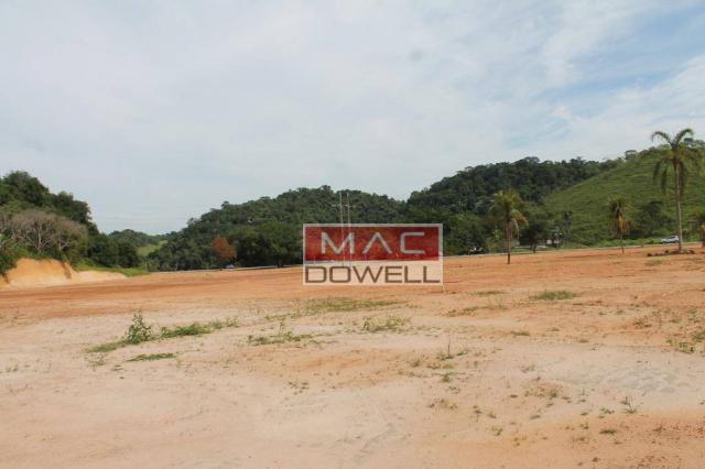 Terreno plano de 40.000 mts² em Papucaia - Foto 5