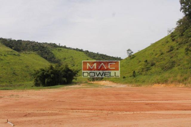Terreno plano de 40.000 mts² em Papucaia - Foto 18
