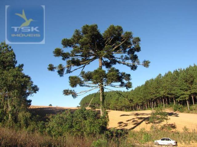 Ch0197 - área para formar chácara araucária - tietê 36.300 m² luz e água