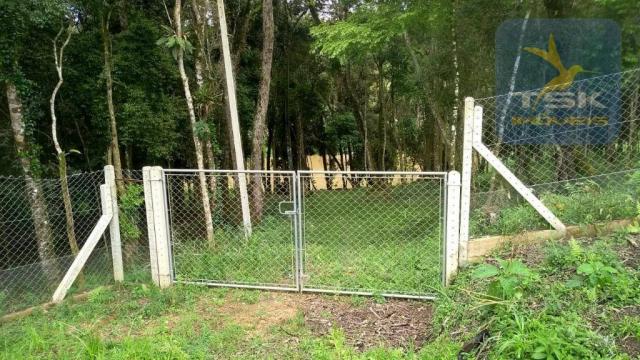 Ch0315 - são josé dos pinhais chácara 20.000 m² casa nova formada lago - Foto 11