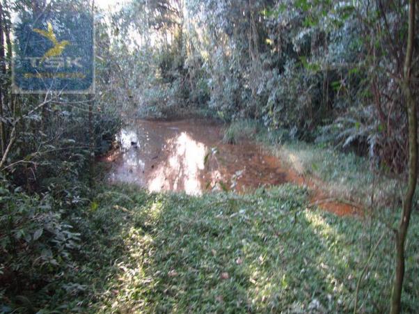 Ch0197 - área para formar chácara araucária - tietê 36.300 m² luz e água - Foto 6