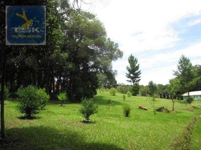 Quatro barras área industrial - 96.000 m² localização estratégica ar0021 - Foto 12