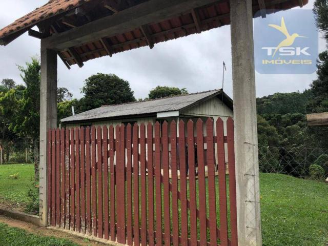 Chácara à venda, 6.957 m² por r$ 175.000 - barco - mandirituba/pr - Foto 2
