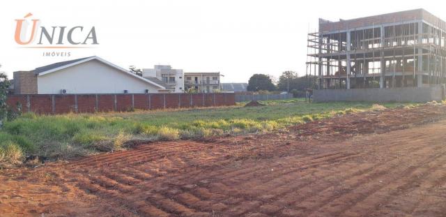 Terreno à venda, 600 m² por R$ 130.000 - Jardim Santos Dumont - Paranavaí/Paraná - Foto 2