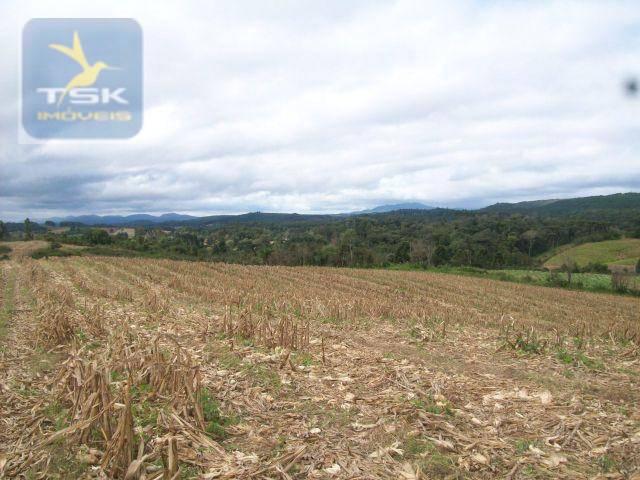 Fazenda em quitandinha - (cerrinho) - - Foto 9