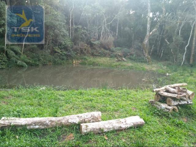 Ch0308 - mandirituba chácara 10.000 m² antes do pedágio com ótima casa - Foto 18