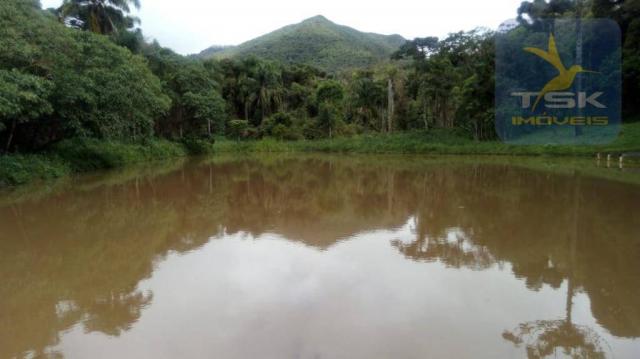Ch0315 - são josé dos pinhais chácara 20.000 m² casa nova formada lago - Foto 7