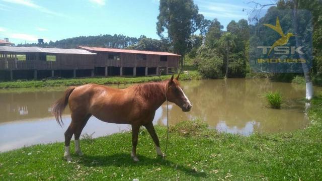 Fa0009 fazenda à venda, 605000 m² por r$ 3.150.000 - zona rural - quitandinha/pr - Foto 4