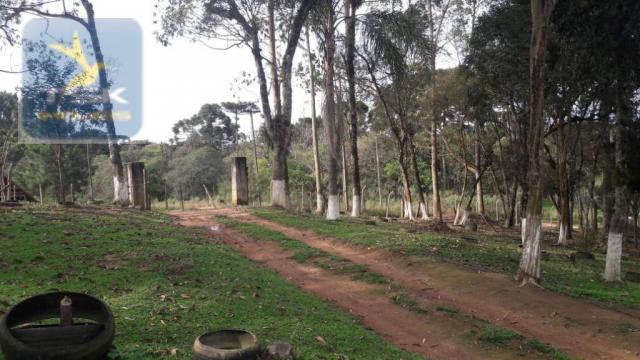 Ch0311 - mandirituba - chácara 10.000 m² com casa antes do pedágio - Foto 10