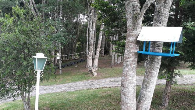 Chácara para lazer - 24000 m² por r$ 749.000,00 - chimboveiro - mandirituba/pr - Foto 4