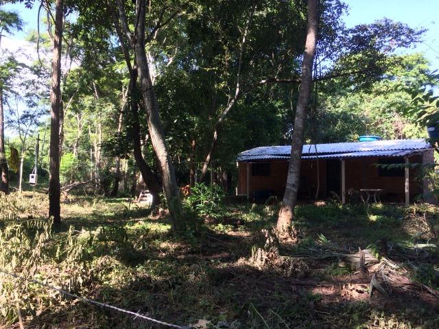 Estudo troca ou venda - Foto 6