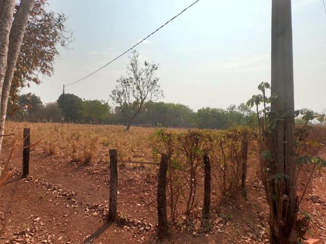 Vendo Sítio com 10 hectares à 23 Km de Cuiabá sentido Santo Antonio, - Foto 14