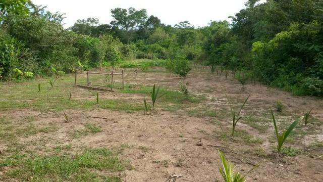 Chácara na Beira do Rio Cuiabá - Barranco alto II - Somente contrato de compra e venda - Foto 16