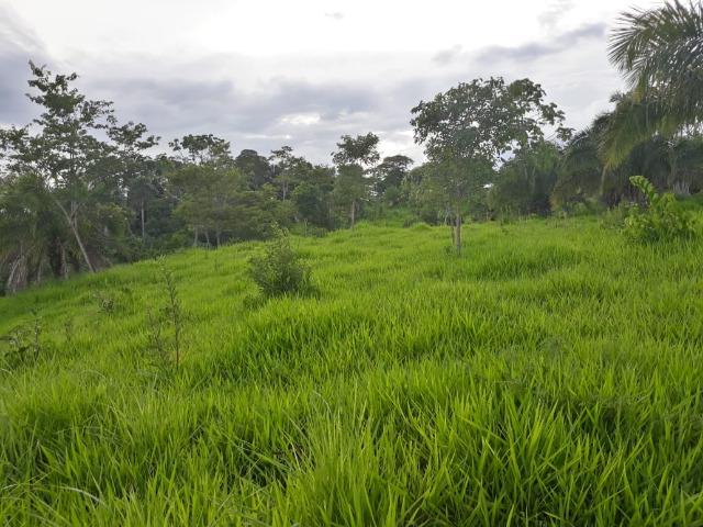 Vendo uma chácara, de 54 hectares em chapada - Foto 13