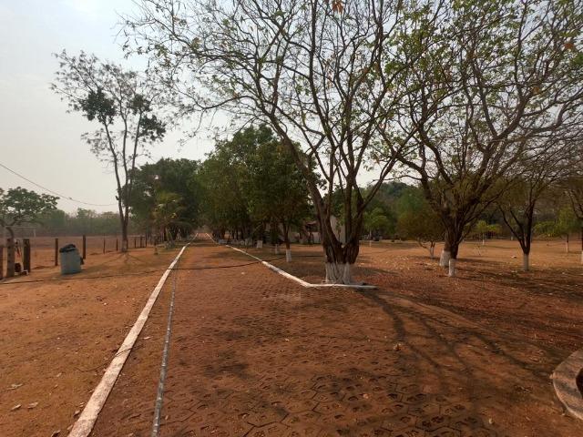 Vendo Sítio com 10 hectares à 23 Km de Cuiabá sentido Santo Antonio, - Foto 19