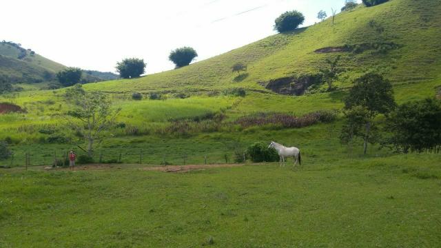 Excelente propriedade em Cantagalo!!! - Foto 18