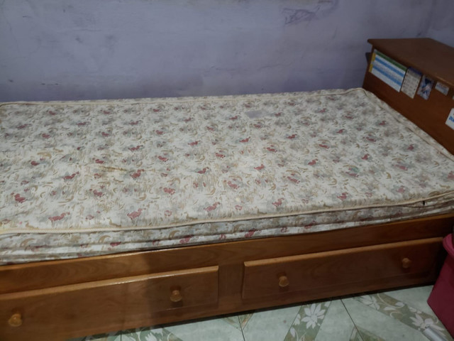 Cama - Foto 5