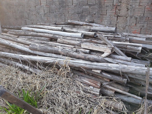 Escoras de eucalipto pra obra