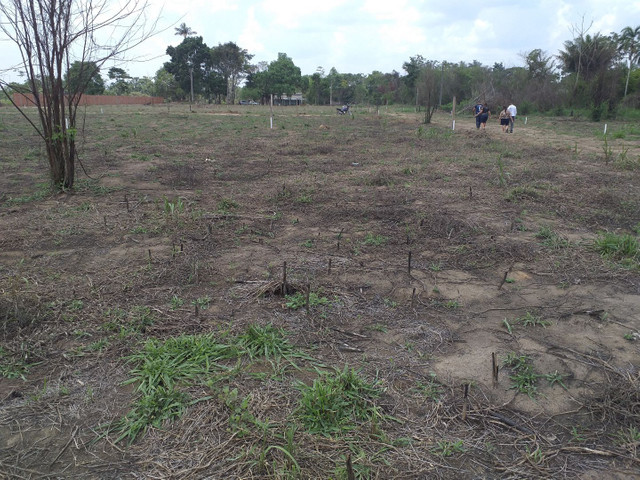 Vendo terreno valo 15mil reais pode negosia - Foto 3