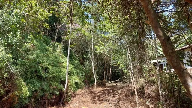 Terreno Vilas Romanas