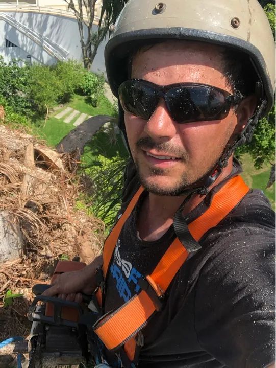 Poda e corte de árvores 