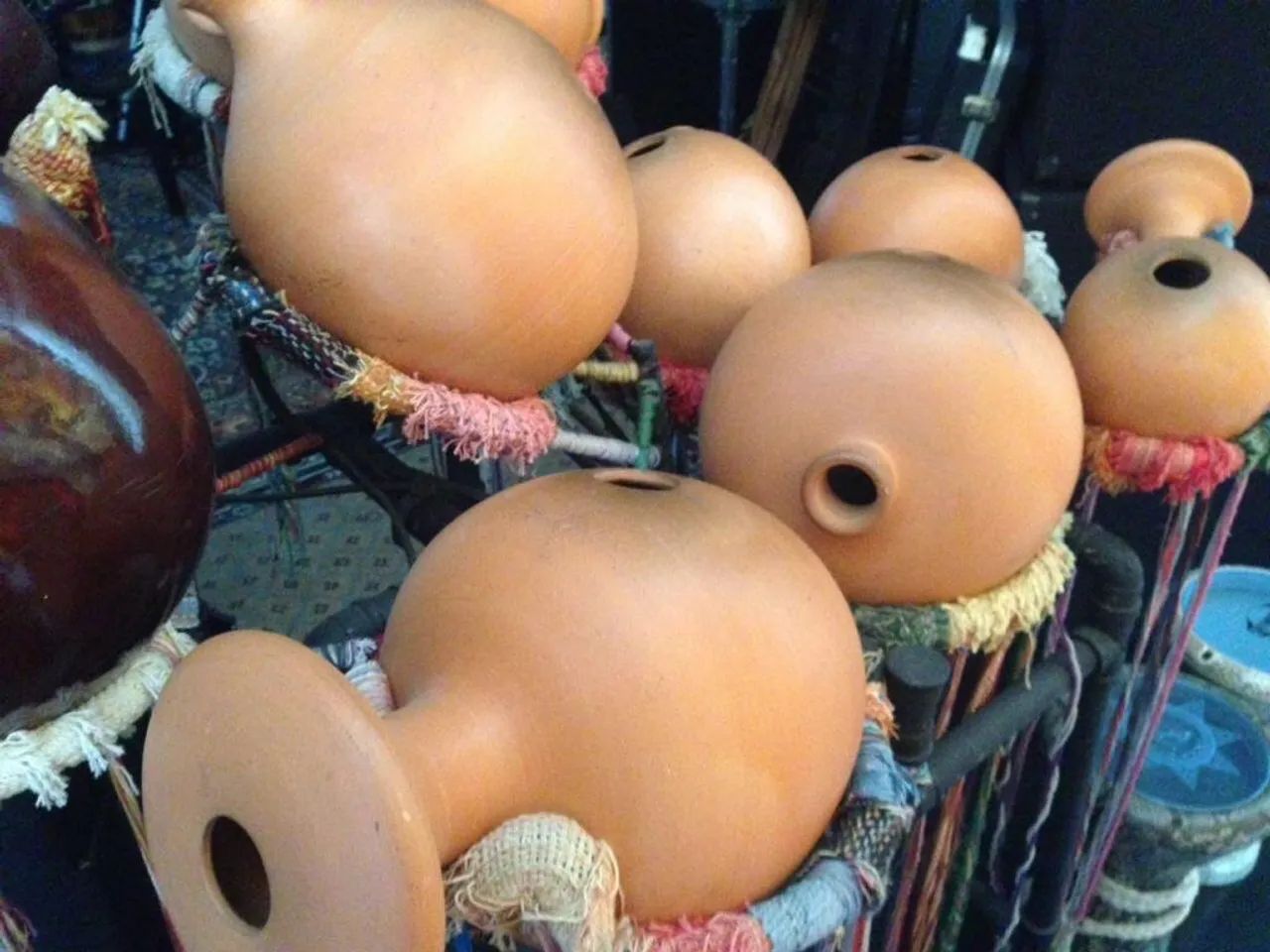 Udu - árvore de moringas  - Foto 2