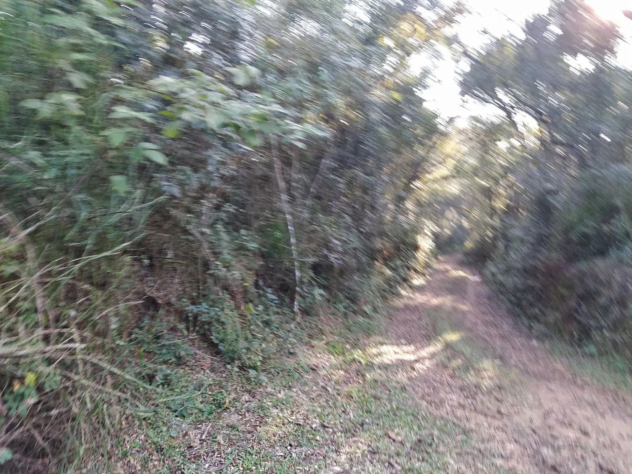 Sítio , Pangaré VELHO  - Foto 2