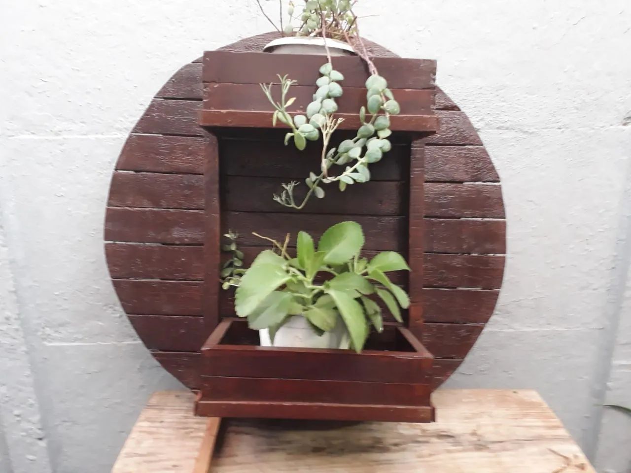 Suporte Para Plantas ( SOL)