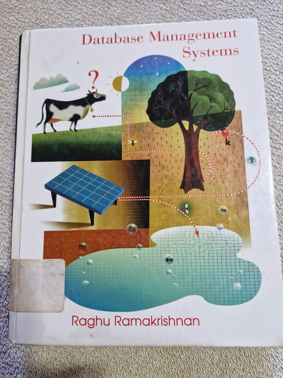 Livro Database Management Systems - Raghu Ramakrishnan