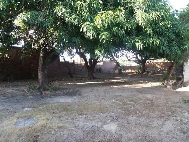 Terreno comercial para locação, Messejana, Fortaleza. - Foto 5