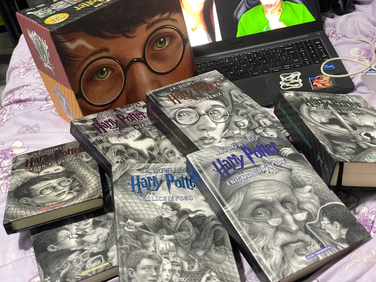 Coleção Completa Harry Potter - Edições Especiais de 20 anos