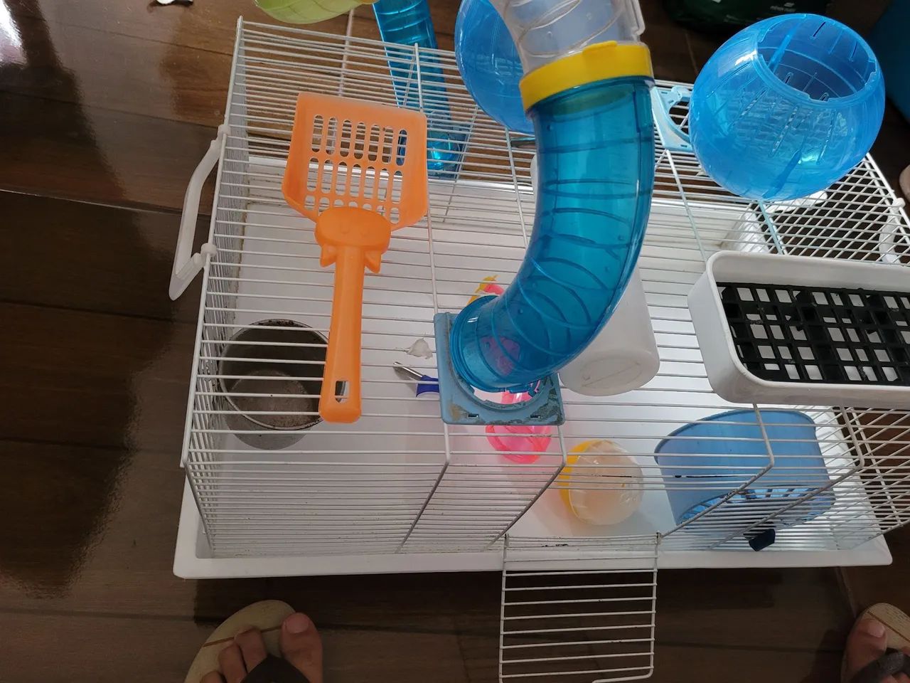 Gaiola para hamster e rato twister - Foto 5