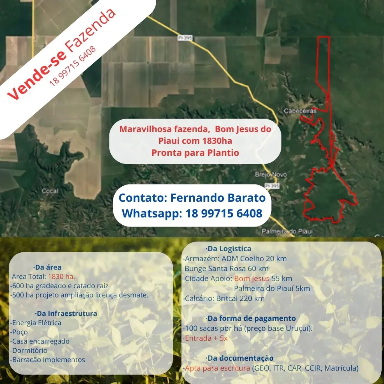 Fazenda para Soja, Região de Bom Jesus PI, 1830 ha, Documentação 100%