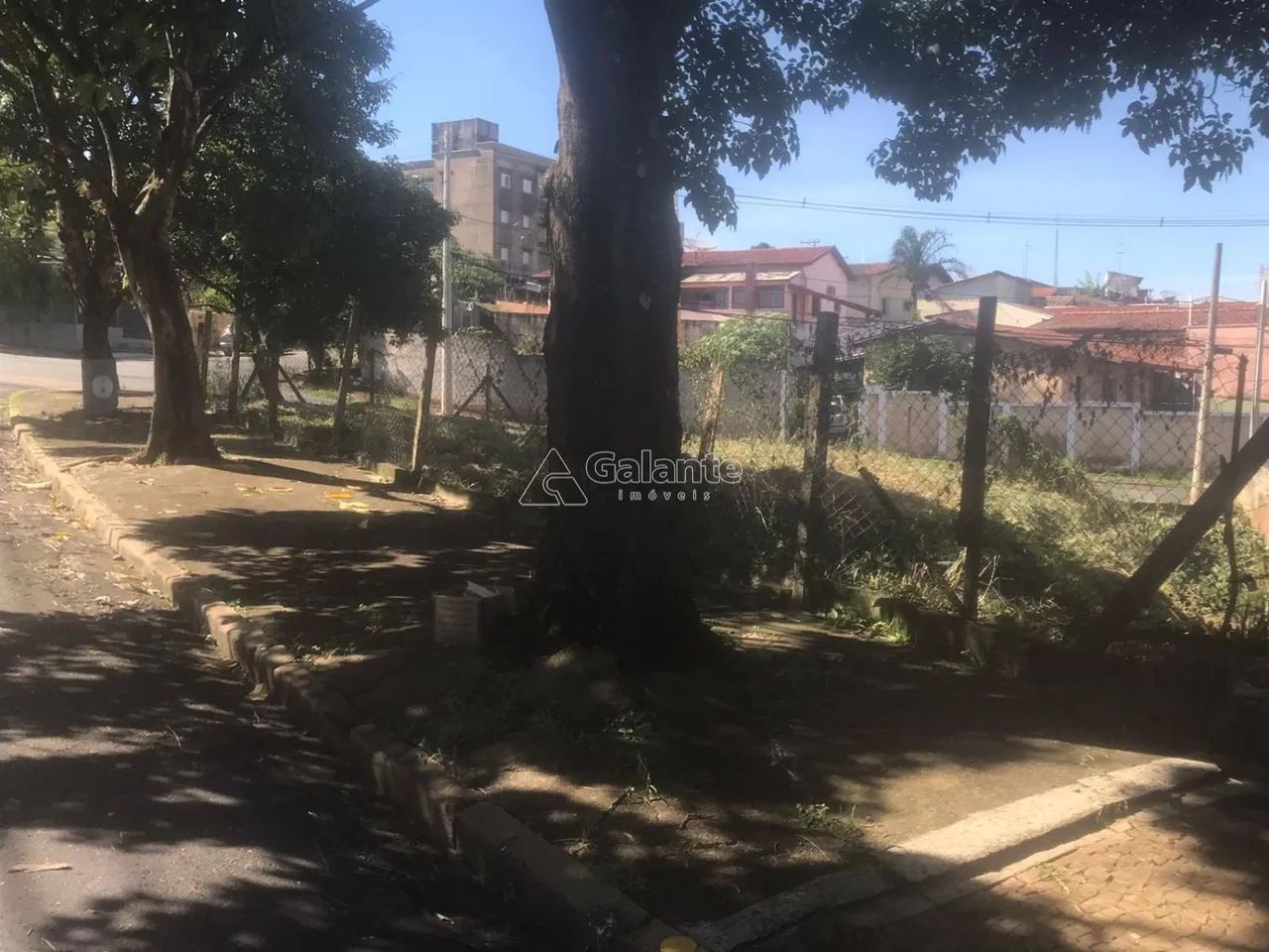 terreno - Parque Brasília - Campinas - Foto 4
